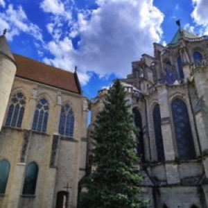 Couleurs estivales à Chartres 🎨.#chartres #france
